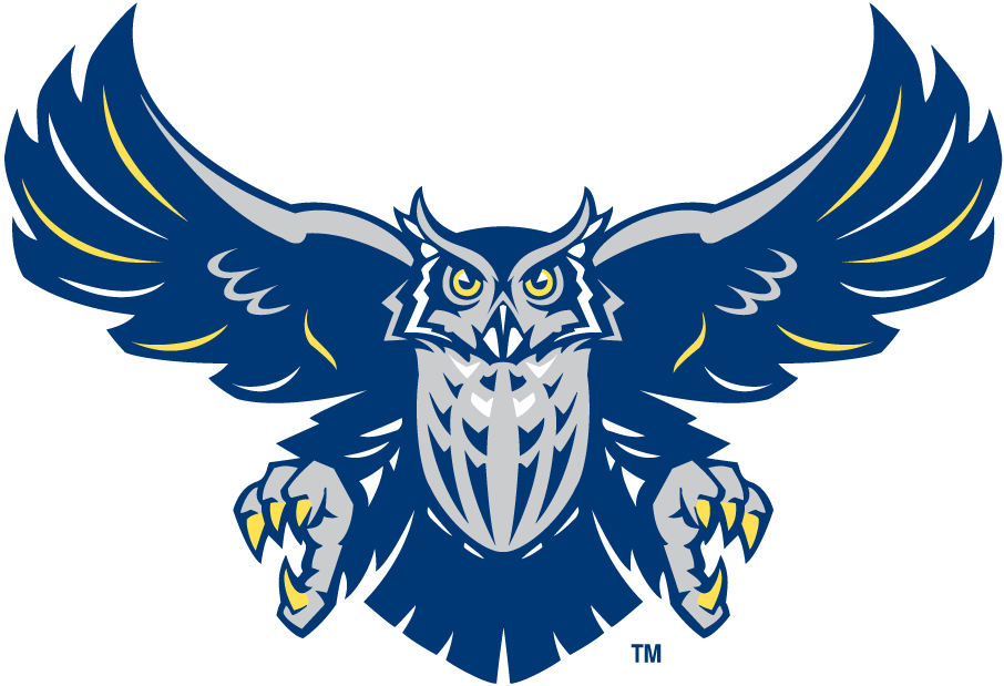 Rice Owls 1997-2009 Alternate Logo 01 iron on paper